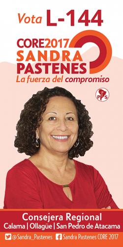Diseño Paloma Vertical