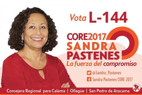 Diseño Paloma
