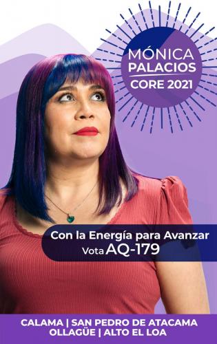 Paleta Publicitaria
